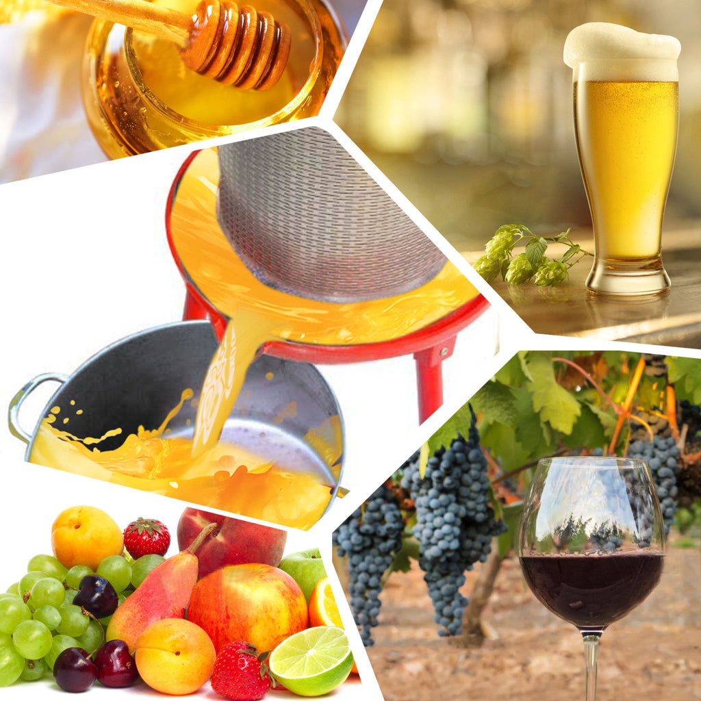 10 Gal Stainless Steel Hydraulic Fruit Wine Apple Press (SAK85622) - Saksby Wholesale - Extract Liquid