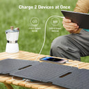 Anker Solix PS30 Portable Solar Panel (SAK18463)