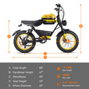 HappyRun G100 (G100 Pro) Long Distance Electric Fat Tire Bike Motorcycle (SAK95715)