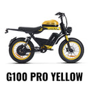 HappyRun G100 (G100 Pro) Long Distance Electric Fat Tire Bike Motorcycle (SAK95715)