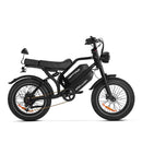 HappyRun G70 (G70 Pro) Long Distance Dual Battery Electric Fat Tire Cargo Bike (SAK81369)