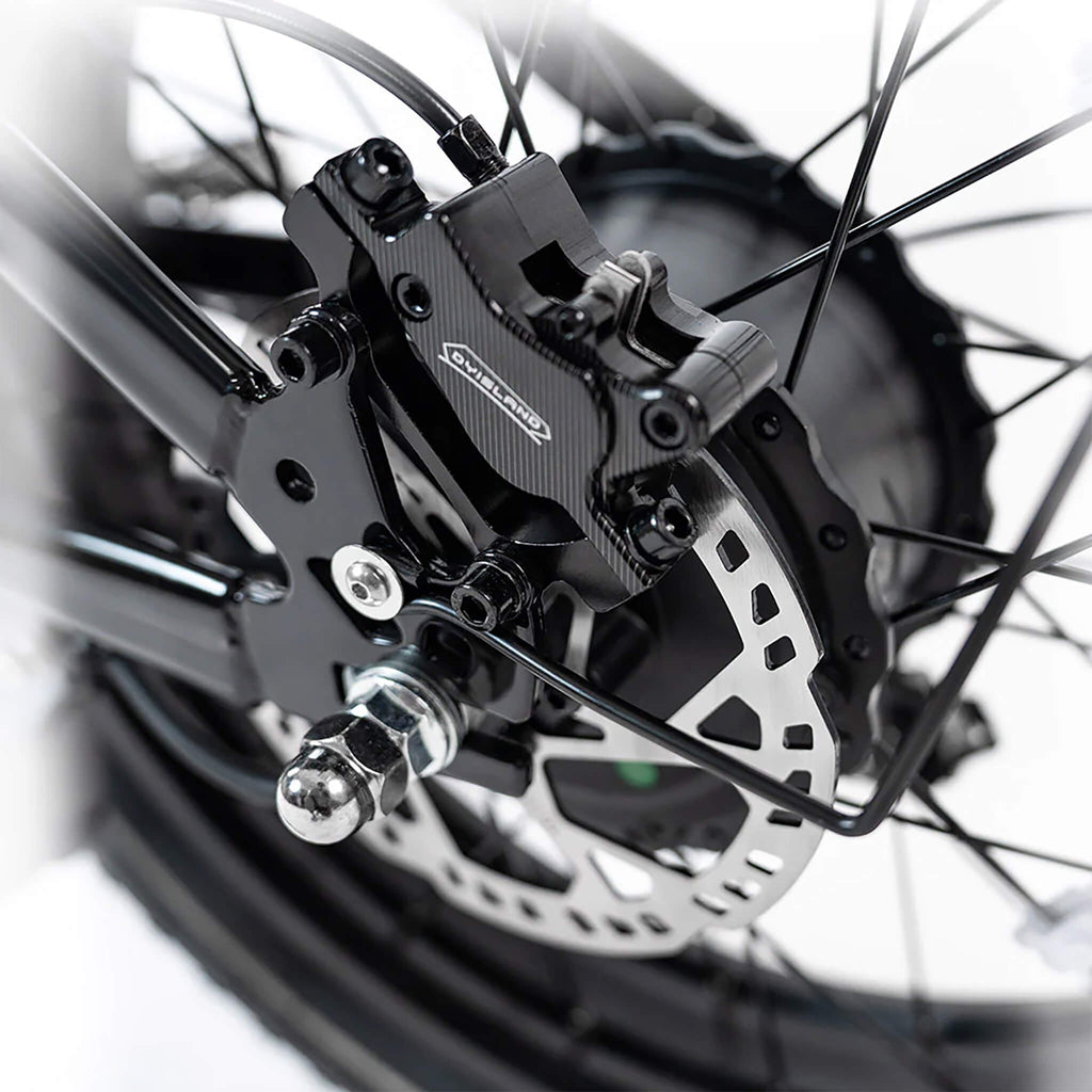 HappyRun G70 (G70 Pro) Long Distance Dual Battery Electric Fat Tire Cargo Bike (SAK81369)