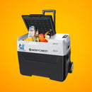 LIONCOOLER X40A Portable Solar Fridge Freezer, 42 Quarts (98764841) - SAKSBY.com - Refrigerators - SAKSBY.com