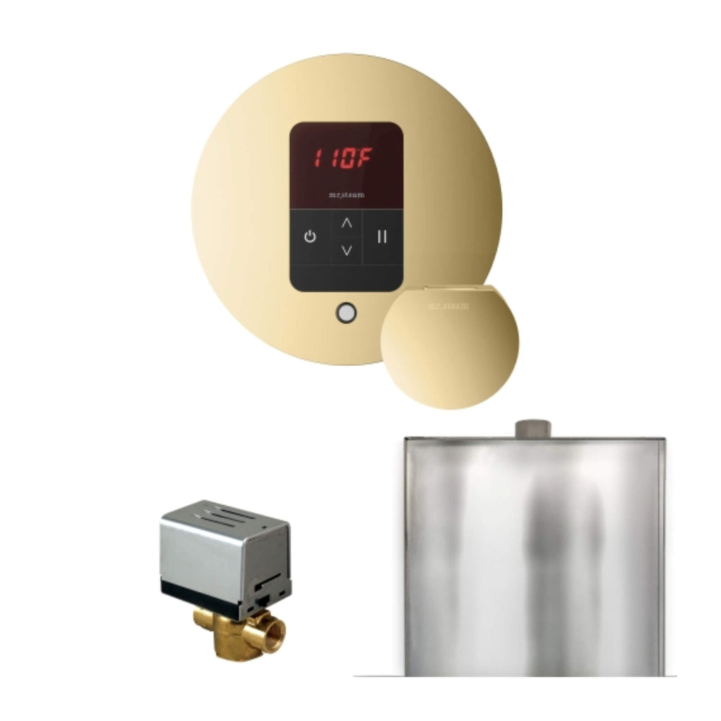 Mr.Steam Basic Butler Steam Shower Control Package W/ iTempo Control and Aroma Designer Finish Steam Head (SAK63721) - Saksby Wholesale - Polished Brass View