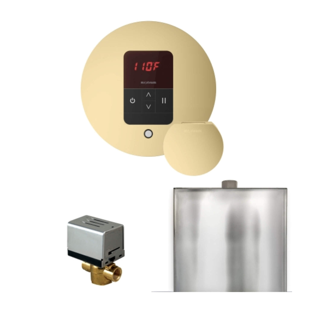 Mr.Steam Basic Butler Steam Shower Control Package W/ iTempo Control and Aroma Designer Finish Steam Head (SAK63721) - Saksby Wholesale - Satin Brass View