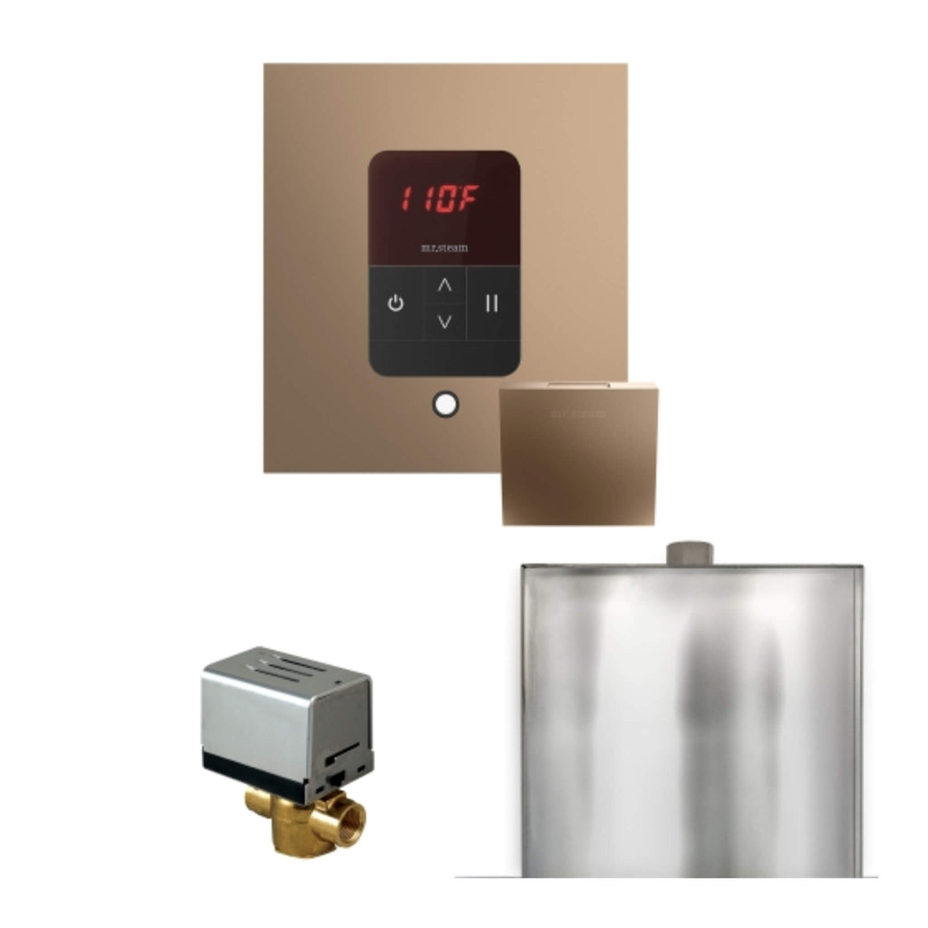 Mr.Steam Basic Butler Steam Shower Control Package W/ iTempo Control and Aroma Designer Finish Steam Head (SAK63721) - Saksby Wholesale - Nouveau Bronze View