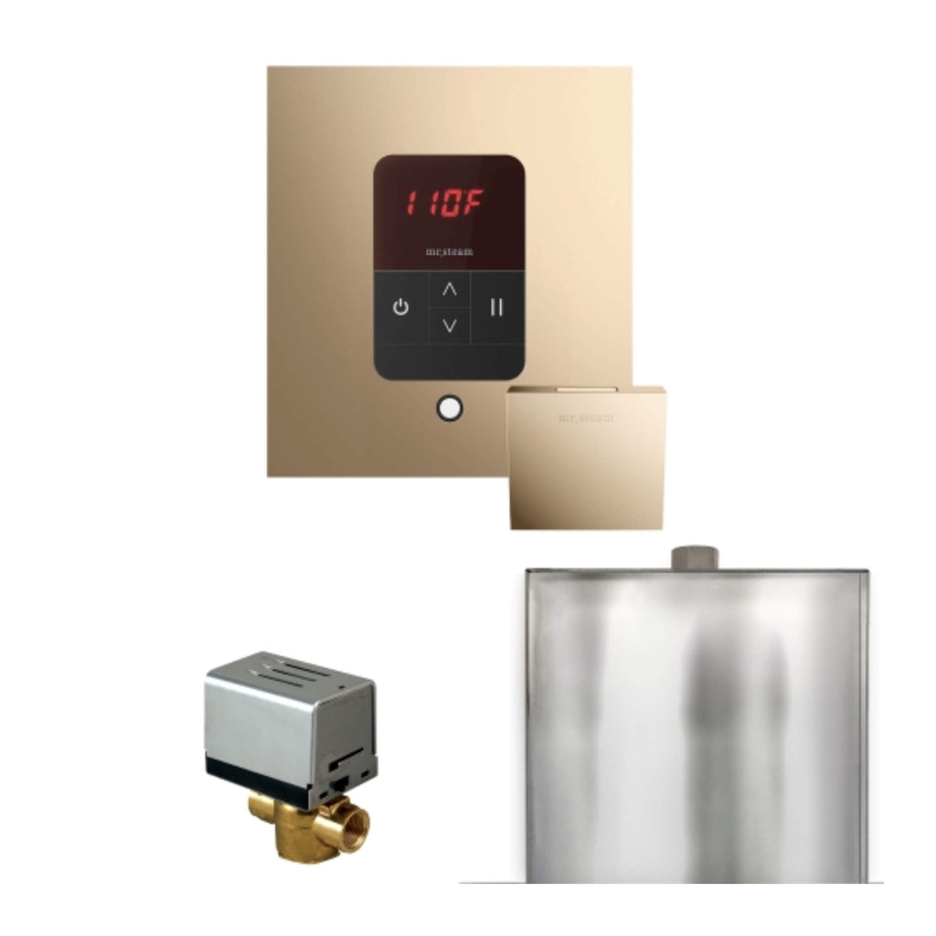 Mr.Steam Basic Butler Steam Shower Control Package W/ iTempo Control and Aroma Designer Finish Steam Head (SAK63721) - Saksby Wholesale - Polished Gold View