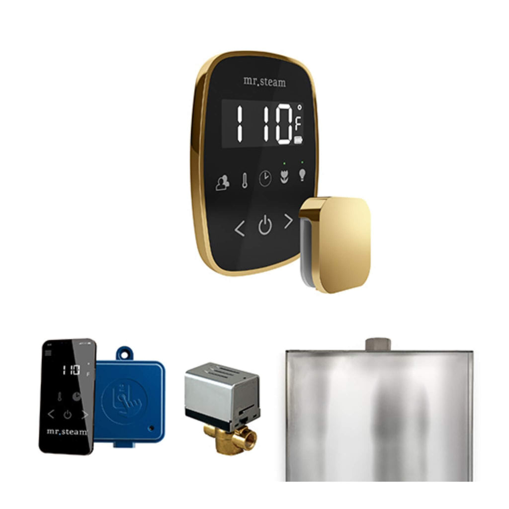Mr.Steam ButlerFlex Steam Shower Control Package w/ TempoFlex Control (SAK38129) - Saksby Wholesale - Polished Brass View