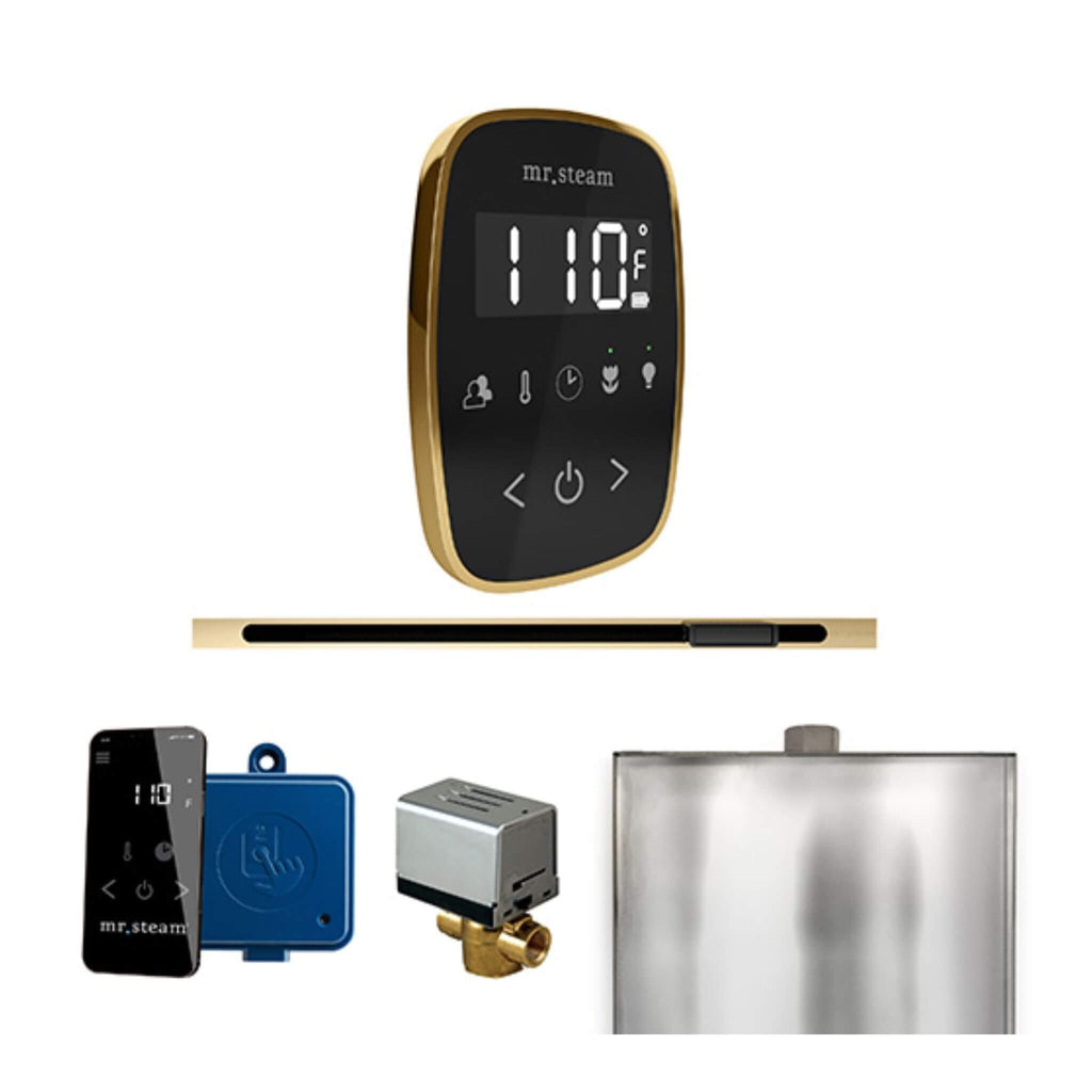 Mr.Steam ButlerFlex Steam Shower Control Package W/ TempoFlex Control & Linear SteamHead (SAK84713) - Saksby Wholesale - Oil Polished Gold View