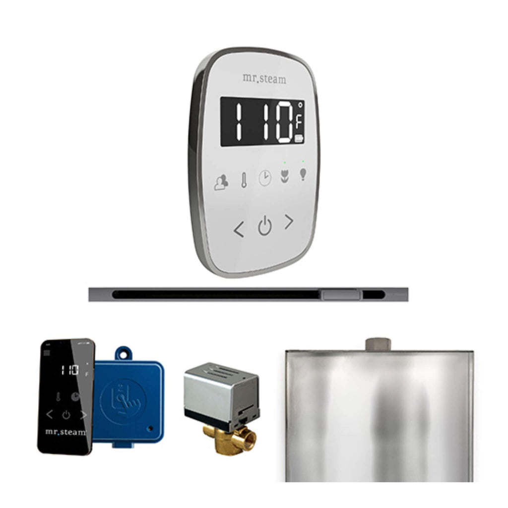 Mr.Steam ButlerFlex Steam Shower Control Package W/ TempoFlex Control & Linear SteamHead (SAK84713) - Saksby Wholesale - Brilliant Black View