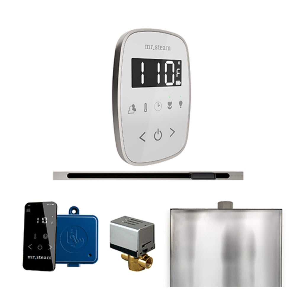 Mr.Steam ButlerFlex Steam Shower Control Package W/ TempoFlex Control & Linear SteamHead (SAK84713) - Saksby Wholesale - Matte Black View
