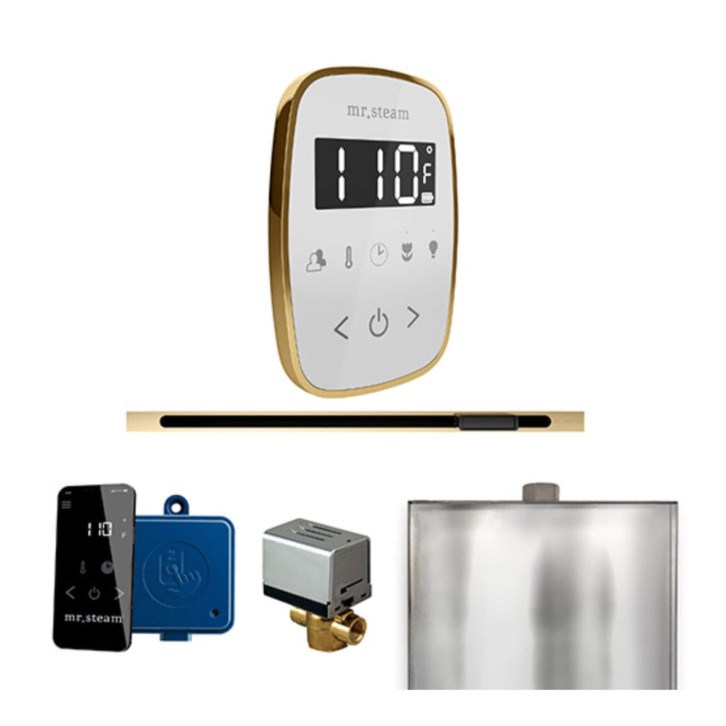 Mr.Steam ButlerFlex Steam Shower Control Package W/ TempoFlex Control & Linear SteamHead (SAK84713) - Saksby Wholesale - Oil Polished Gold View