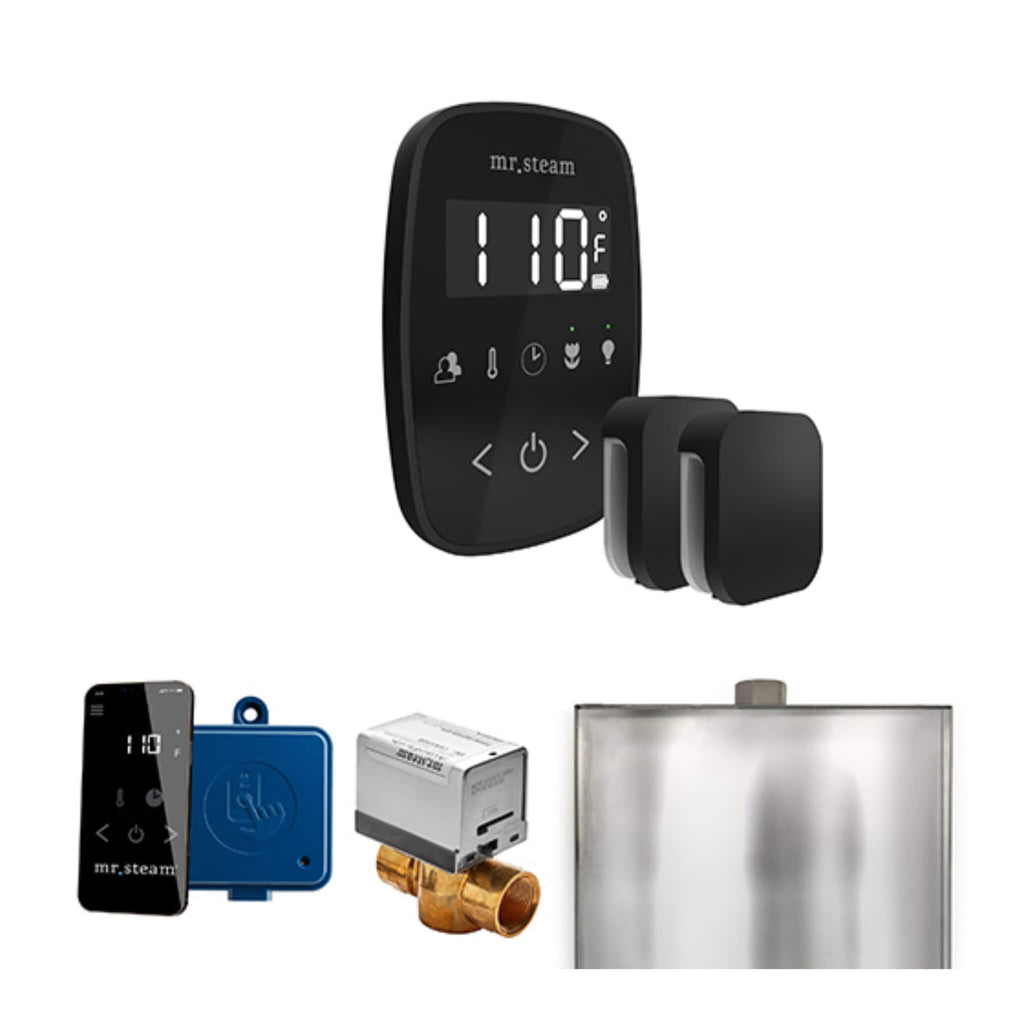 Mr.Steam ButlerFlex Steam Shower Control Package w/ TempoFlex Control and Aroma SteamHeads (SAK92375) - Saksby Wholesale - Matte Black View