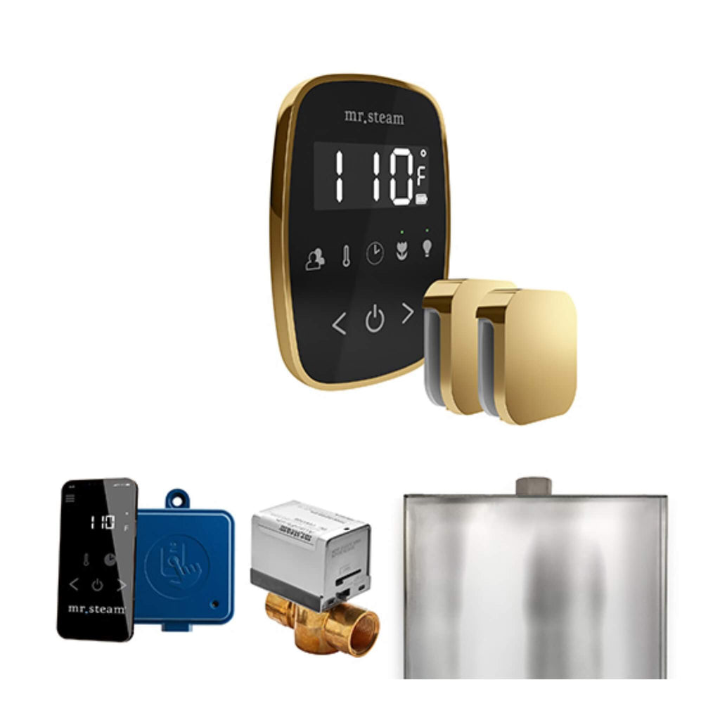 Mr.Steam ButlerFlex Steam Shower Control Package w/ TempoFlex Control and Aroma SteamHeads (SAK92375) - Saksby Wholesale - Polished Brass View