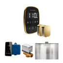 Mr.Steam ButlerFlex Steam Shower Control Package w/ TempoFlex Control and Aroma SteamHeads (SAK92375) - Saksby Wholesale - Polished Brass View