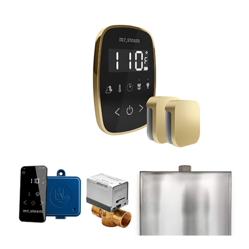Mr.Steam ButlerFlex Steam Shower Control Package w/ TempoFlex Control and Aroma SteamHeads (SAK92375) - Saksby Wholesale - Satin Steel View