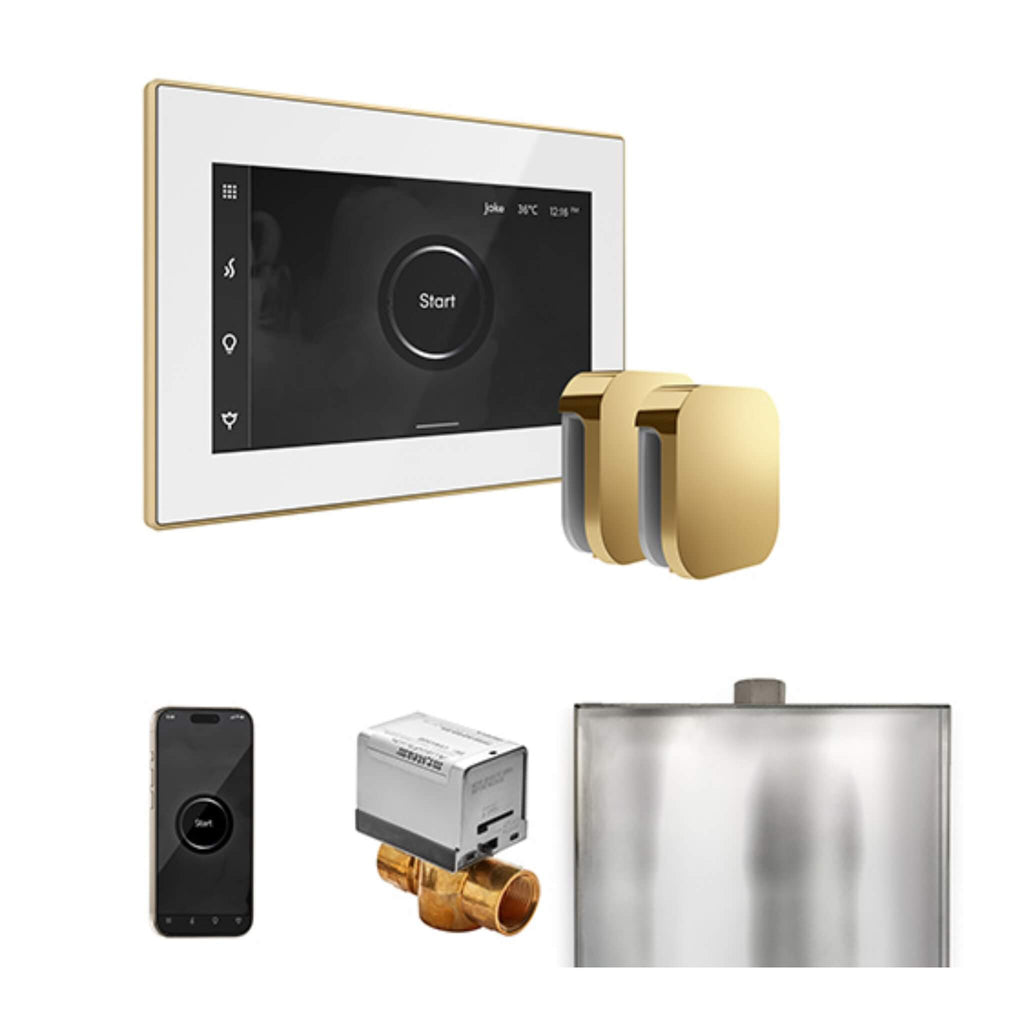 Mr.Steam XButler Steam Shower Control Package w/ iSteamX Control and Aroma SteamHeads (SAK85204) - Saksby Wholesale - Polished Brass View