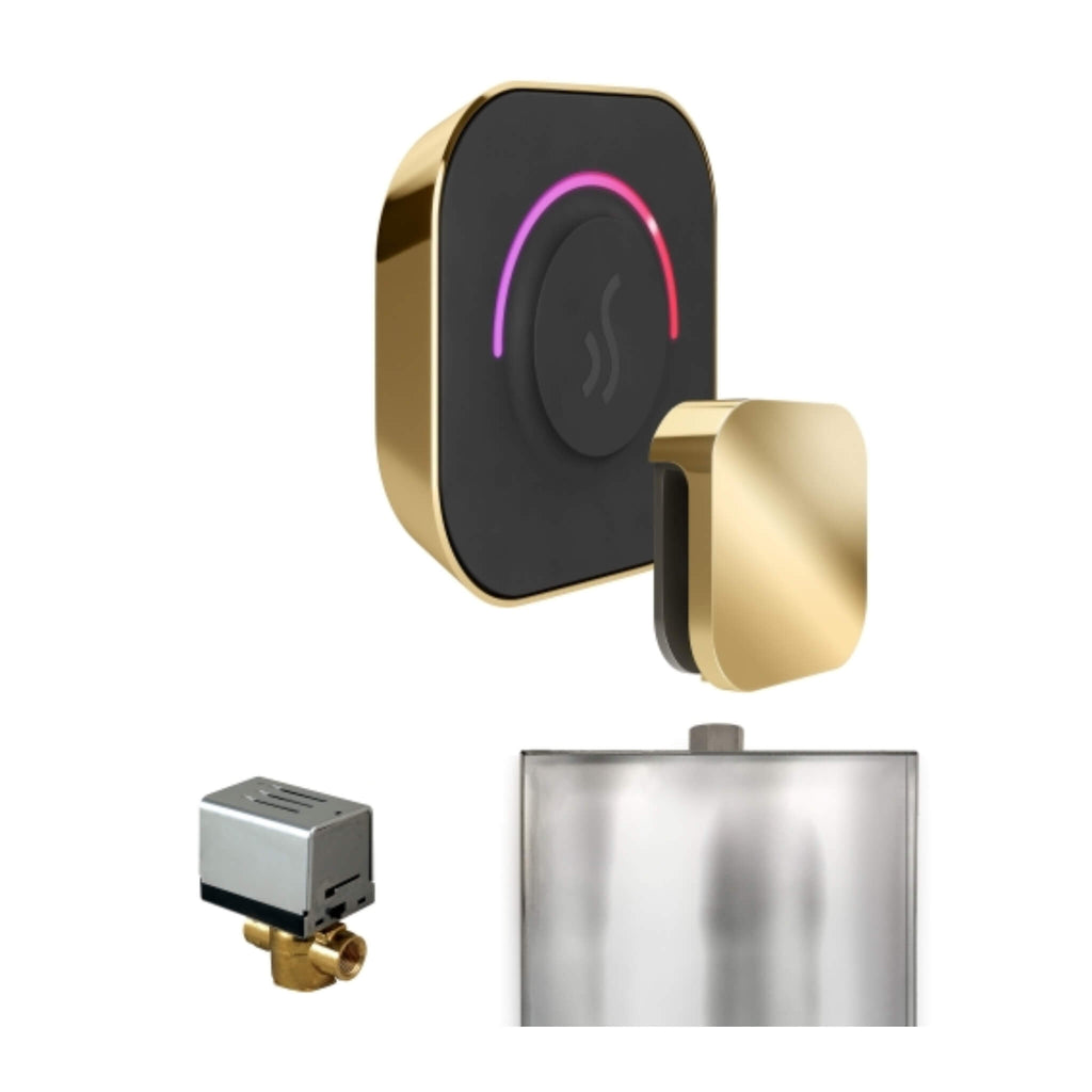 Mr.Steam ButlerTouch Steam Shower Control Package w/ TempoTouch Control and Aroma SteamHead (SAK95216) - Saksby Wholesale - Polished Brass View