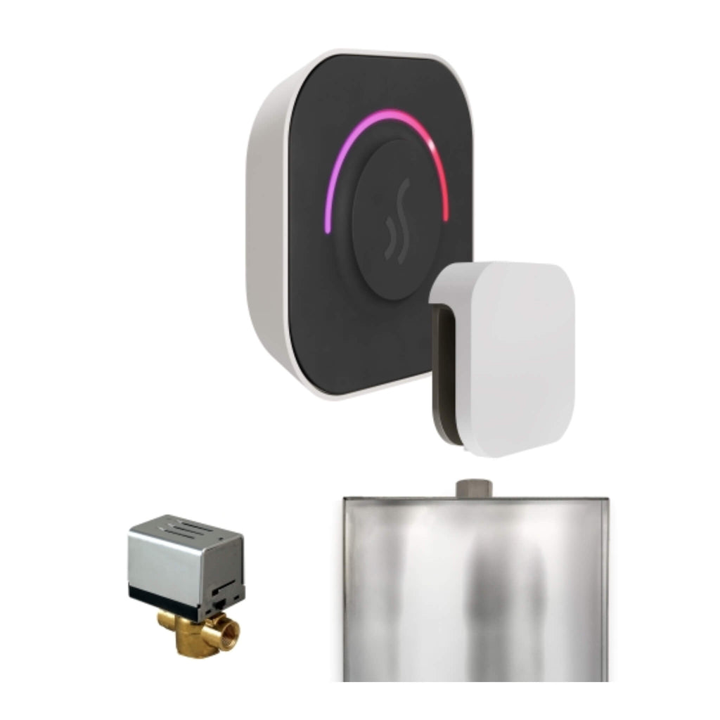 Mr.Steam ButlerTouch Steam Shower Control Package w/ TempoTouch Control and Aroma SteamHead (SAK95216) - Saksby Wholesale -Whitel View