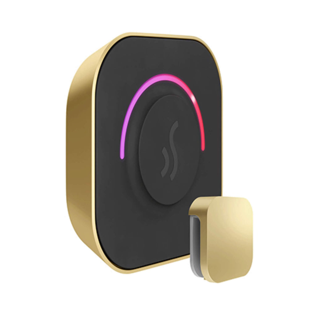 Mr.Steam TempoTouch Steam Shower Control w/ Aroma SteamHead (SAK10429) - Saksby Wholesale - Satin Brass View