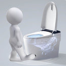 Smart Auto Dual Flush Tankless Toilet With Heated Bidet, Auto Open And Close (SAK37415) - Saksby Wholesale - Usage Details