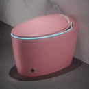 Smart One-Piece Toilet With Bidet, Foot Sensor, LED Display And Dryer (SAK80112)