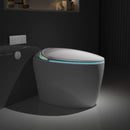 Smart One-Piece Toilet With Bidet, Foot Sensor, LED Display And Dryer (SAK80112) - Saksby Wholesale - Night Details