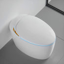 Smart One-Piece Toilet With Bidet, Foot Sensor, LED Display And Dryer (SAK80112) - Saksby Wholesale - With Light Bathroom Setup