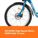 DWMEIGI MG708 36V13Ah 350W Step-Through Electric Trike - SAKSBY.com - Electric Bicycles - SAKSBY.com