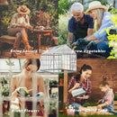 Large Heavy Duty Outdoor Walk-In Polycarbonate Aluminum Frame Greenhouse W/ Adjustable Vents & Sliding Demonstration View