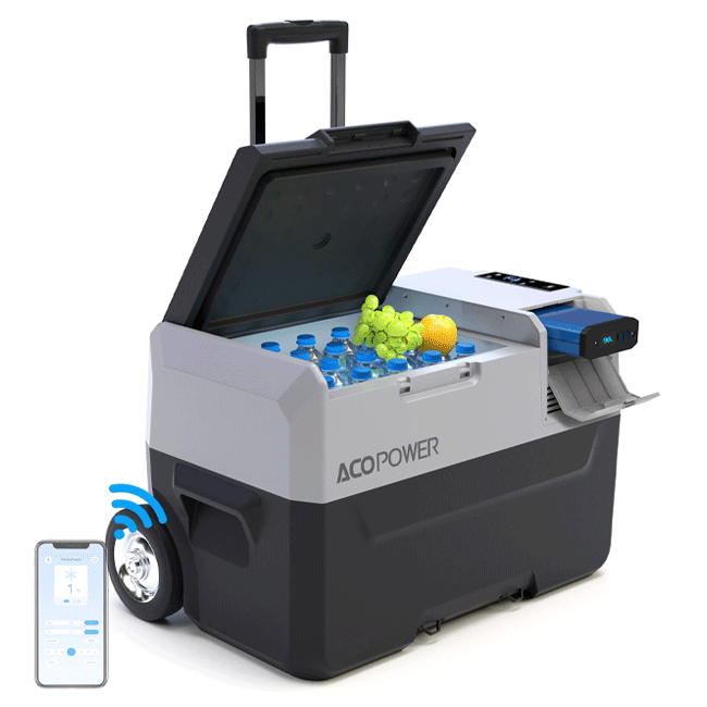 LIONCOOLER Pro 32 Quarts Portable Solar Fridge Freezer - SAKSBY.com - Refrigerators - SAKSBY.com