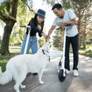Okai Neon 36V 250W Lithium Ion Electric Foldable Scooter For Adults (SAK11872) - Saksby Wholesale - Park
