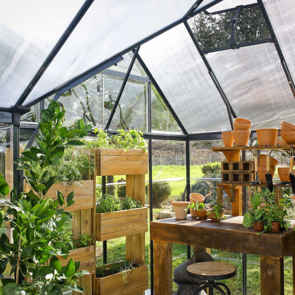 PLM Premium T-Shaped Cathedral Outdoor Walk-In Greenhouse And Solarium, 10x12FT (91364285) - SAKSBY.com - Greenhouses - SAKSBY.com