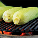 PRIMO Oval XL 400 Ceramic Kamado Grill W/ Stainless Steel Grates - PGCXLH - SAKSBY.com - Portable Refrigerator - SAKSBY.com
