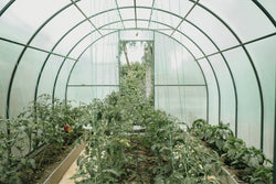 10 THINGS TO KNOW BEFORE BUILDING A GREENHOUSE - SAKSBY.com