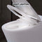 1/1.28 GPF Smart Compact Dual Flush Tankless Toilet Bidet Combo With Self-Cleaning Nozzle And Foot Sensor Flush (SAK58021) - Saksby Wholesale - Night Lighting