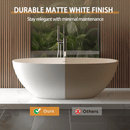 65 Inch Luxury Freestanding Soaking Bathtub With Overflow And Pop-Up Drain (SAK69451) - Saksby Wholesale - Color