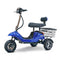 EWHEELS EW-19 48V/12AH Electric All Terrain Handicap 3-Wheel Medical Power Scooter, 300LBS (94586302)