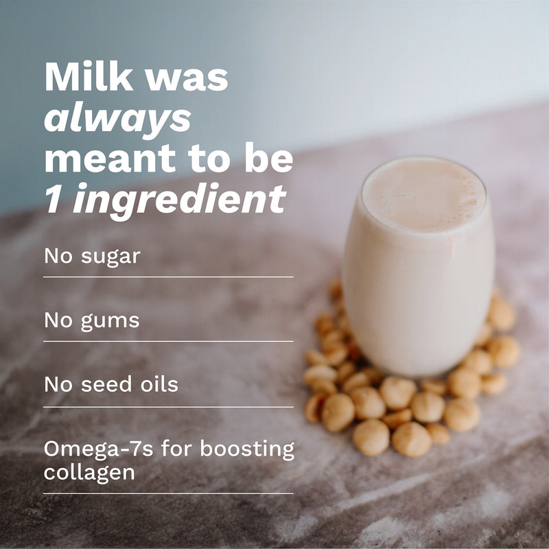 100% Macadamia Milk (12 Packs)