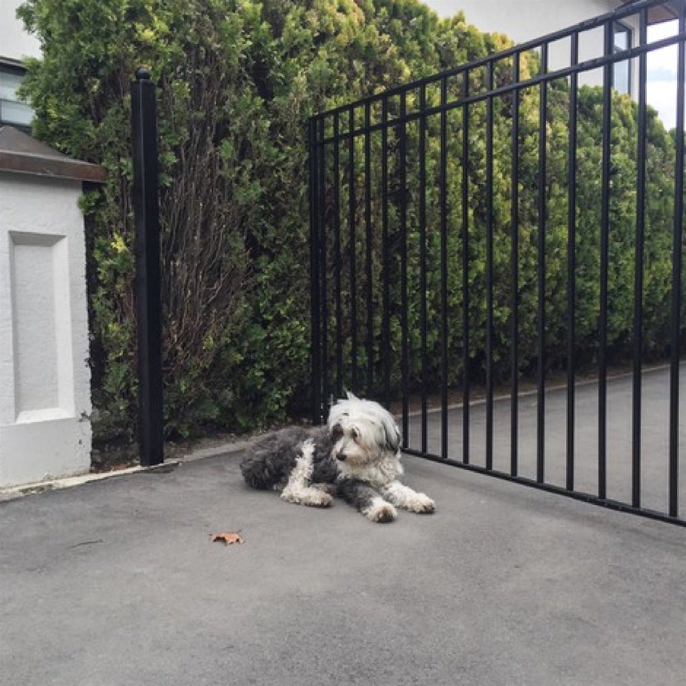 ALEKO Madrid Style Steel Single Swing Driveway Gate (SAK53219)-SAK