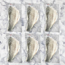 Premium Skin On Branzino Fillet 2 x Portions Per Pack (Bulk Case) (SAK31640)