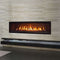 ENVIRO Linear IPI Direct Vent Natural Gas Fireplace With Burner Tray, Vermiculite, Top Led Kit, Steel Liner & Remote Control [C60I-2] (SAK38942)