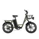 FIIDO T1 20" 48V/20AH Premium Off Road Electric Cargo Bike, 750W (98464562)