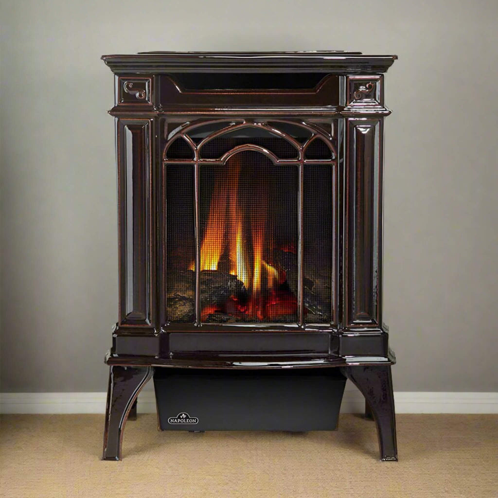 Napoleon Arlington 20 Cast Iron Millivolt Ignition Majolica Brown Natural Gas Stove, 19" [GDS20NNSB] (SAK43798) - Saksby Wholesale - Front View In Freestanding Lifestyle Image