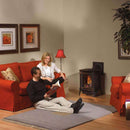 Napoleon Arlington 20 Cast Iron Millivolt Ignition Majolica Brown Natural Gas Stove, 19" [GDS20NNSB] (SAK43798) - Saksby Wholesale - Lifestyle Image In The Living Room