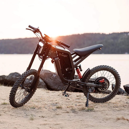 Freego Bikes X2 Pro