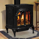 Ironstrike Serefina Modern Freestanding Direct Vent Cast Iron Gas Stove With Protective Sreen [CI1500/1502/1504/2500/2504/2506DVF] (SAK58291) - Saksby Wholesale - Lifestyle Black Front Right View