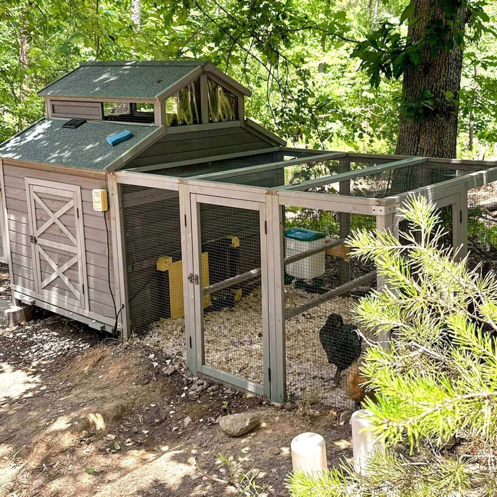 Large 115-Inch Portable Chicken Coop With Run And Nesting Boxes [8-10 Chickens] (SAK18263) - Saksby Wholesale - Lifestyle Image In Outdoor Setup