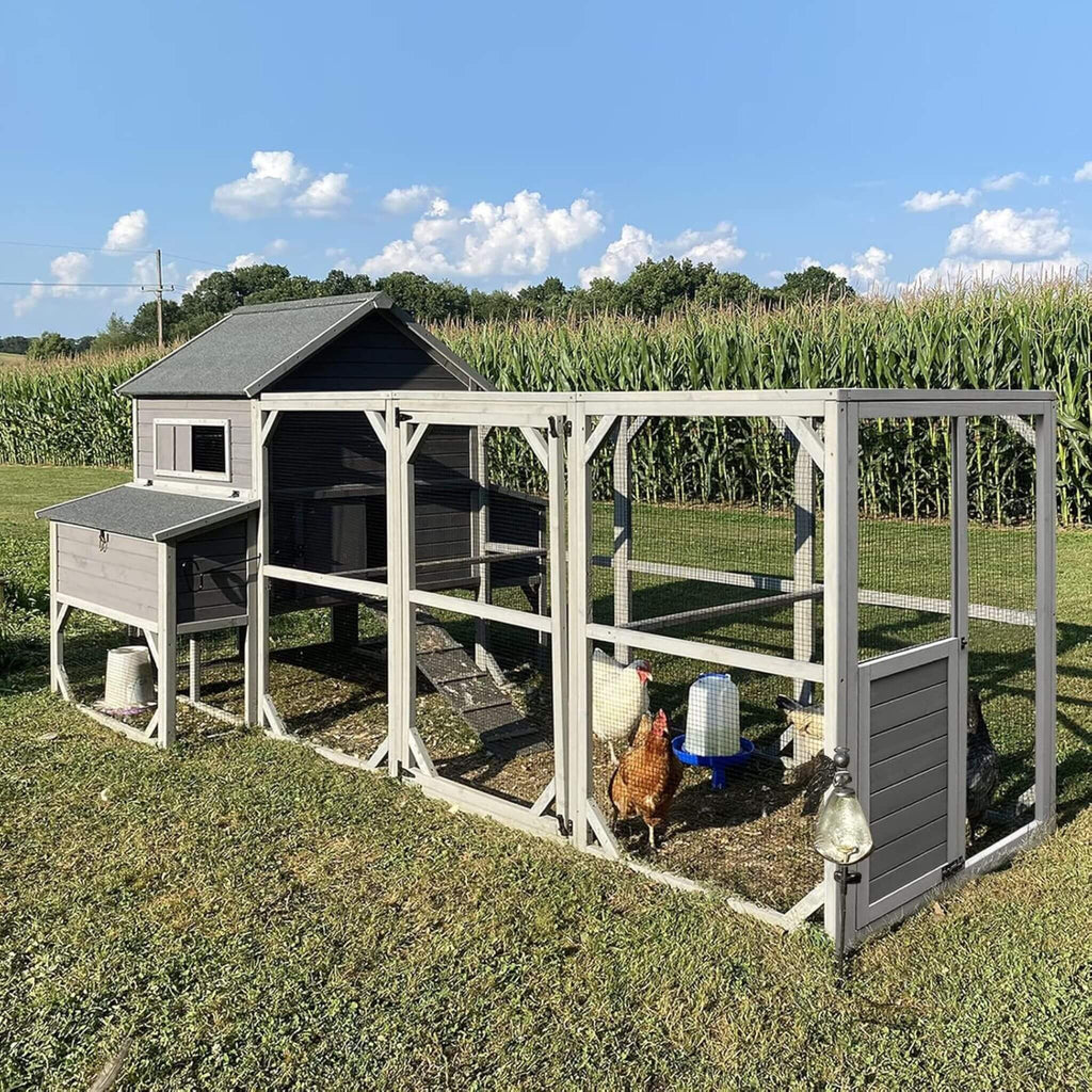 Large 137-Inch Wooden Chicken Coop With Run And 6 Nesting Boxes [10-15 Chickens] (SAK96430) - Saksby Wholesale - Lifestyle Image With Chickens