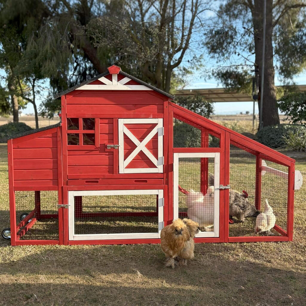 Large 73-Inch Portable Chicken Coop With Wheels And Nesting Box (SAK27495) - Saksby Wholesale - Lifestyle Image With Chickens